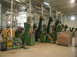 Prelucrare plută - 5